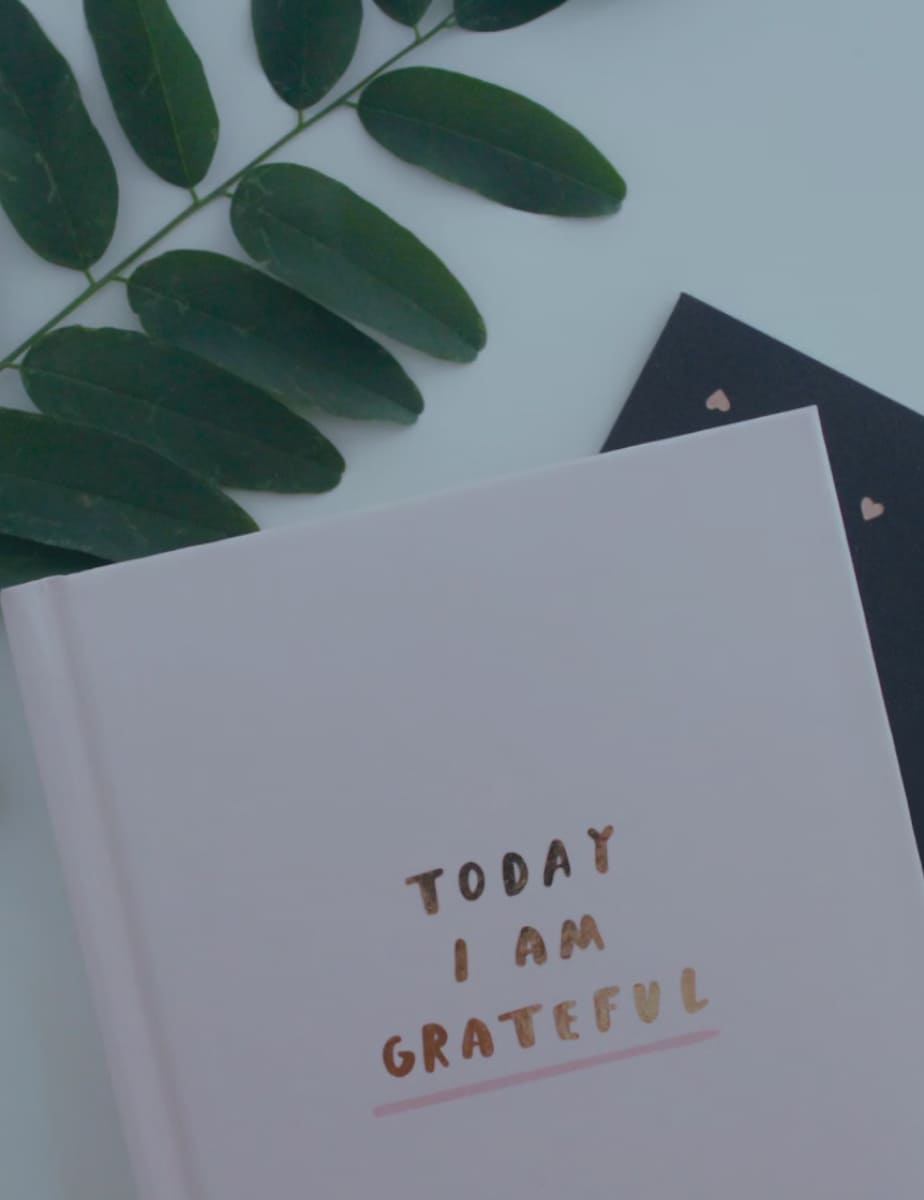 가족에게
나의 일상을 공유하기